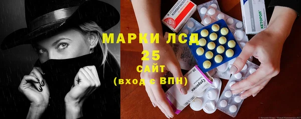 прущие грибы Киреевск