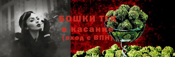 прущие грибы Киреевск