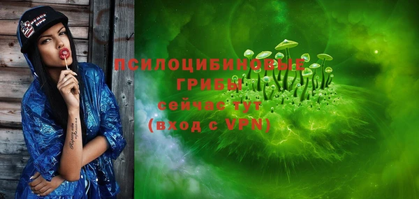 прущие грибы Киреевск