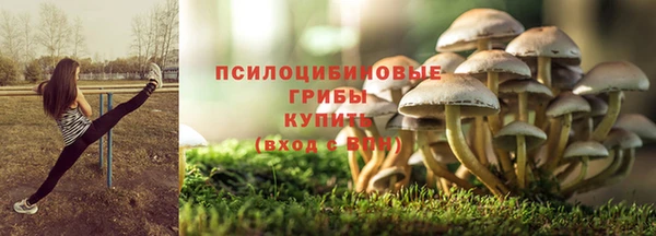 прущие грибы Киреевск