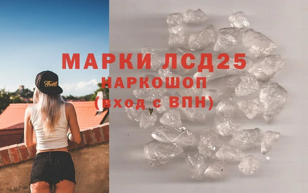 прущие грибы Киреевск