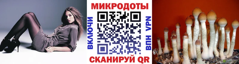 Галлюциногенные грибы MAGIC MUSHROOMS  Купить  Ликино-Дулёво 